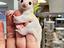 Immagine 1