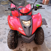 Quad 50 Derby Motore Piaggio