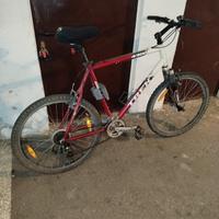 montanbike