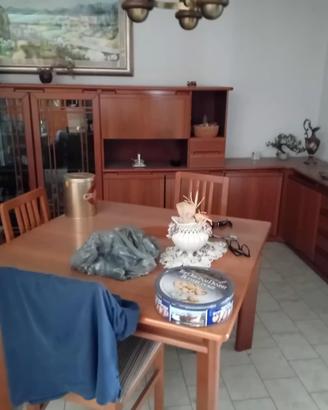 Tinello usato a Capua (Ce)