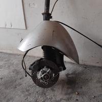 Monoforcella piaggio