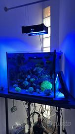 Vasca acquario