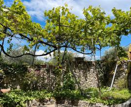 Casa semi indipendente con giardino e vista mare