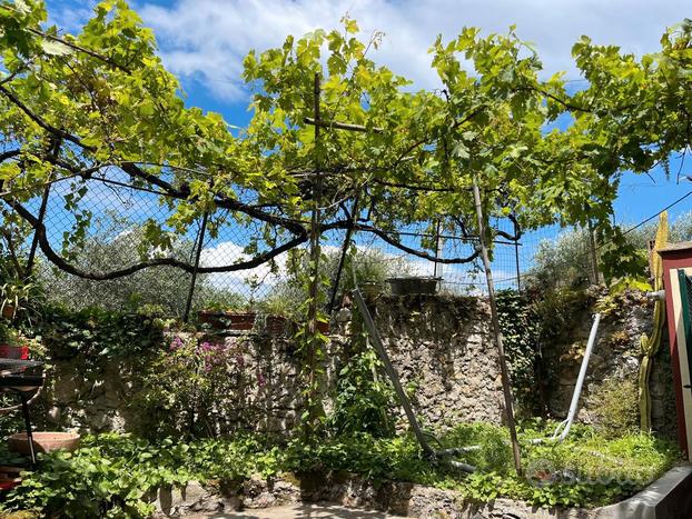 Casa semi indipendente con giardino e vista mare