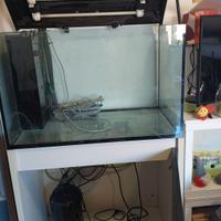 Acquario 200litri  