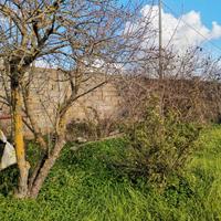 Terreno edificabile a Silì