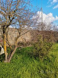 Terreno edificabile a Silì