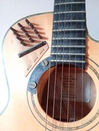 Chitarra custom, scala lunga,  corde simpatetiche