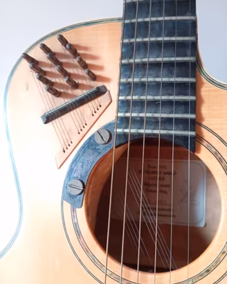 Chitarra custom, scala lunga,  corde simpatetiche
