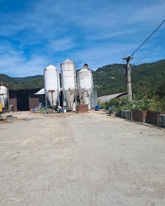 Cisterna per cereali e silos