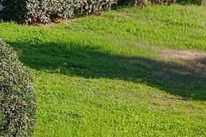 Posto macchina scoperto