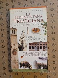 La Pedemontana Trevigiana*Giampiero Rorato