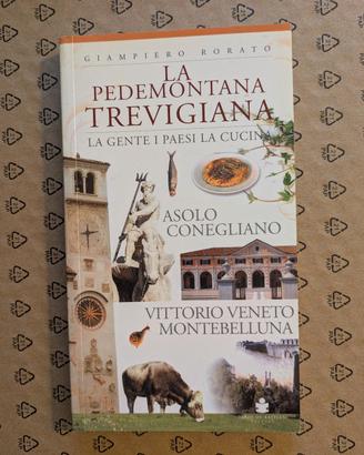 La Pedemontana Trevigiana*Giampiero Rorato