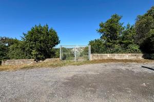 TER. AGRICOLO A ROMA