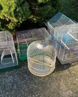 Gabbiette per uccellini voliere