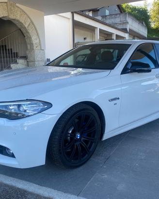 Bmw 520 520d Touring Luxury