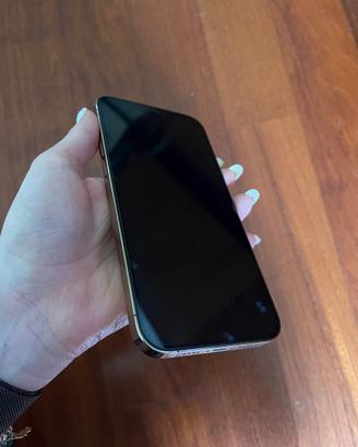 iPhone 12 PRO MAX 256gb