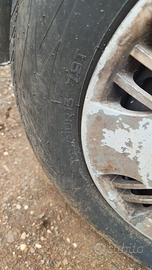 Gomme panda