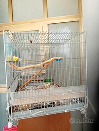 gabbia 120 x60 