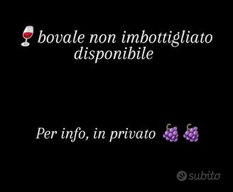 Vino rosso 