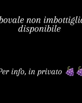 Vino rosso 