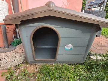 Casetta cane