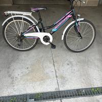 Bicicletta