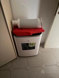 Pinguino electrolux