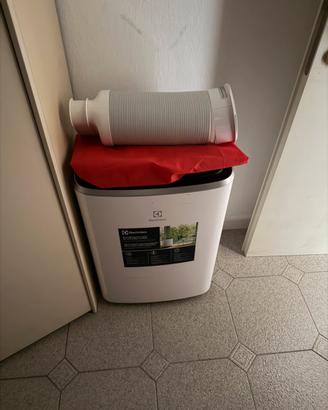 Pinguino electrolux