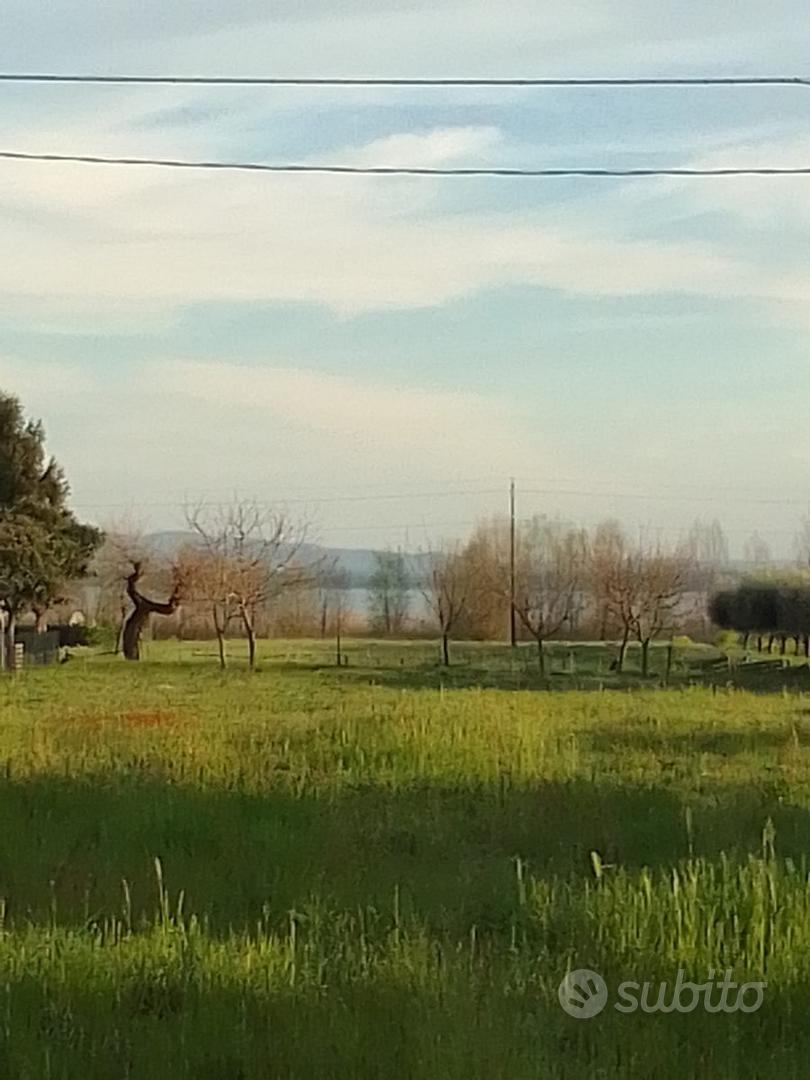 Terreno edificabile con pozzo,vista lago Trasimeno - Vista 3