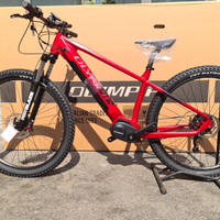 Olympia master ebike