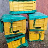 cassette raccogli frutta - elastico - scarico