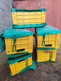 cassette raccogli frutta - elastico - scarico