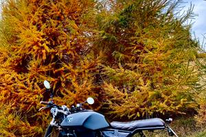 BMW K75 S