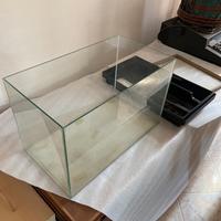 Acquario /terrario