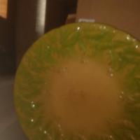 PIATTO SERPENTINA Richard Ginori