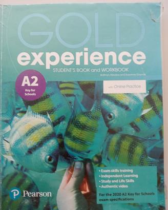 libro di testo inglese per superiori