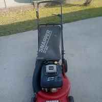 rasaerba professionale 