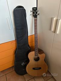 Basso Cort acustico