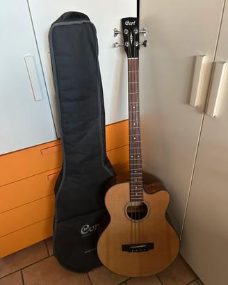 Basso Cort acustico