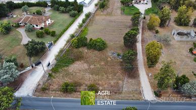 Borgo Grappa (LT) - Terreno 2.600 mq | TR441