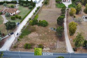 Borgo Grappa (LT) - Terreno 2.600 mq | TR441