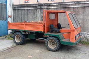 MOTOAGRICOLA GOLDONI USATA