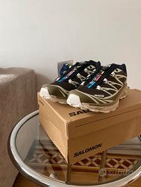 Salomon XT-6 RECUT Wren Taupe 41