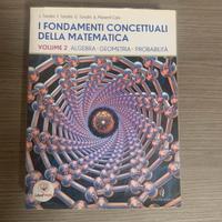 I Fondamenti Concettuali della Matematica - Vol.2