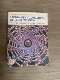 I Fondamenti Concettuali della Matematica - Vol.2