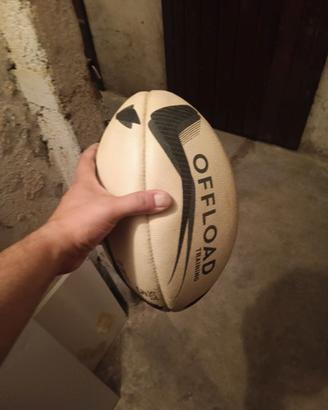 Pallone rugby