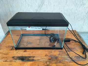 piccolo acquario 15 litri
