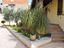 Immagine 27