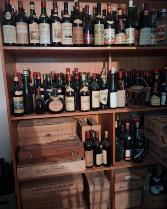 Collezione  Cantina